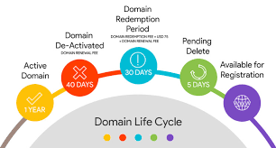 masa aktif domain 